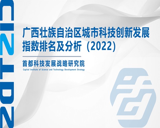 抢奸美女添阴水【成果发布】广西壮族自治区城市科技创新发展指数排名及分析（2022）